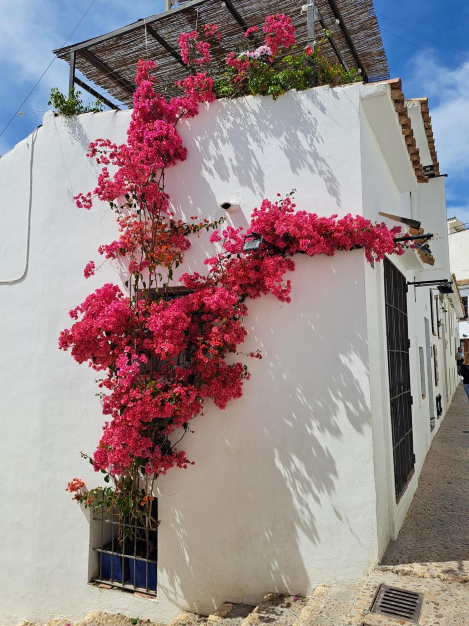 Atico Roof Top Τορεβιέχα Εξωτερικό φωτογραφία