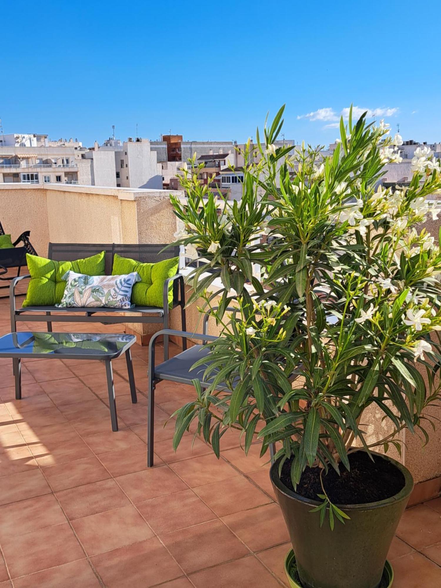 Atico Roof Top Τορεβιέχα Εξωτερικό φωτογραφία